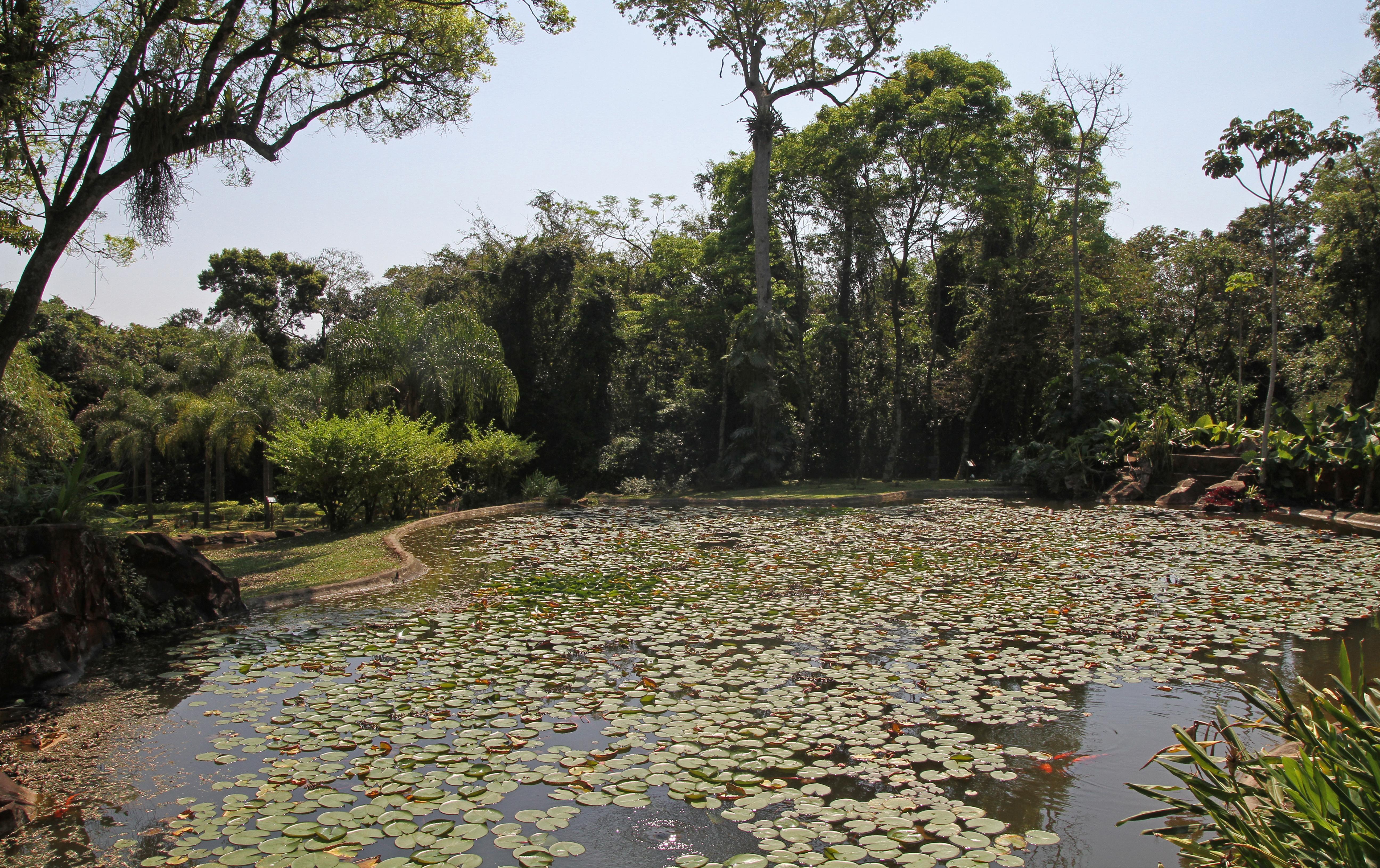 Iguazu Grand Resort Spa & Casino Puerto Iguazú Eksteriør bilde